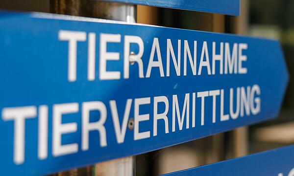 Tierheim Nürnberg