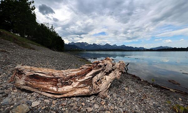 Wasserstand am Forggensee