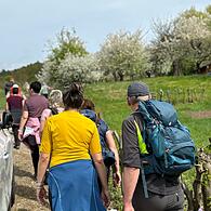 Der Frühling ist da, da gibt es in der Fränkischen Schweiz kein Halten mehr. Am Samstag drängten sich zahllose Ausflügler zwischen Pretzfeld und dem Kirschenweg, der in voller Blüte stand.