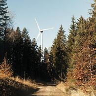 Grüner Strom für den Frankenwald: Die BaySF BayernWind wird in der Gemeinde Pressig Windräder im bayerischen Staatswald bauen.