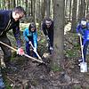 Familie Pieger legt zunächst die Wurzeln frei… Familie Pieger legt zunächst die Wurzeln frei…
