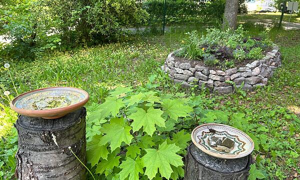 Zeigen, wie leicht Naturschutz sein kann: Contakt-Garten in Coburg eröffnet