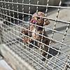 Tierheim Kronach - Animal-HoardingAnimal-Hoarding Tierheim Kronach