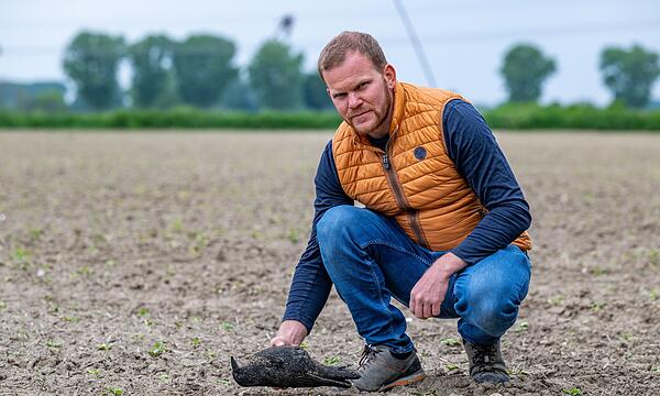 Anti-Saatkrähen-Projekt in der Landwirtschaft