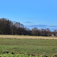 Hinter den Bäumen sind einige Häuser von Igelsdorf erkennbar. In der Bildmitte ist jene Stelle zu sehen, an der der Zulauf von Langensendelbach zum Südableiter geplant ist.