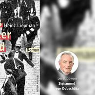 Das Cover von „Das Vaterland“ von Heinz Liepman.