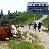 Hauptversammlung des Deutschen Alpenvereins