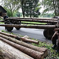 An der alten Schneidmühle am Eingang zum Steinachtal soll gefeiert werden.