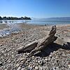 Niedrigwasser am Bodensee