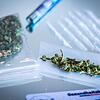 Marihuana, wie auf diesem Symbolfoto zu sehen, hat ein 42-Jähriger aus Erlangen verkauft. Nun steht er deswegen in Nürnberg vor Gericht. Marihuana, wie auf diesem Symbolfoto zu sehen, hat ein 42-Jähriger aus Erlangen verkauft. Nun steht er deswegen in Nürnberg vor Gericht.