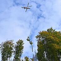 Ein Hubschrauber des Schweizer Unternehmens Rotex mit Spezialtechnik wird bei einer Steilhang-Buchenholzernte im Forstort Hüttengrund des Forstamtes Sonneberg eingesetzt. Am Hubschrauber ist am Tragseil befestigt, das der Pilot während des Flugs ...