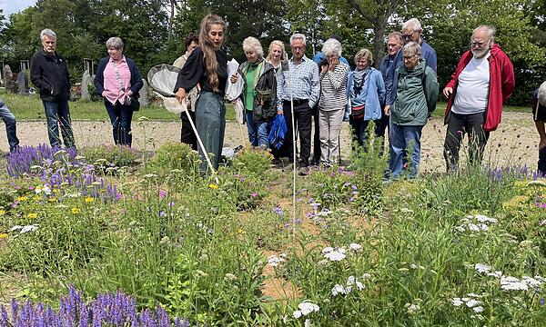 Dr. Fabienne Maihoff zeigt, was im Dorf an Straßenrändern, Gärten und öffentlichen Flächen an Insektenvielfalt zu finden ist.