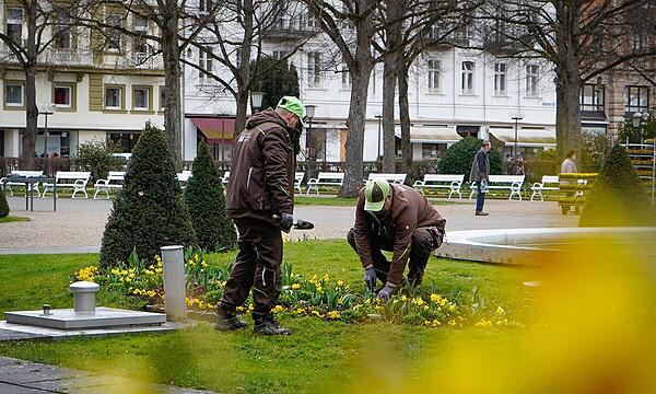 Frühlingsbepflanzung im Kurgarten