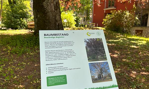 Zeigen, wie leicht Naturschutz sein kann: Contakt-Garten in Coburg eröffnet