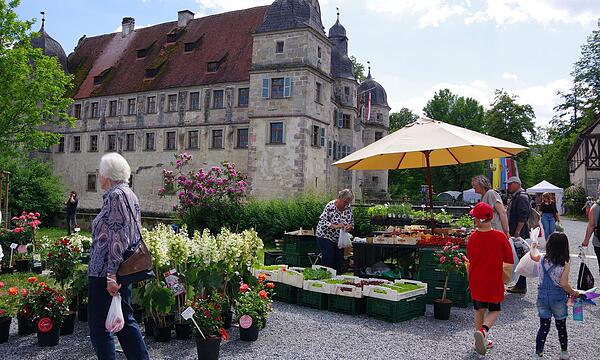 Das Fränkische Gartenfest mit Künstlermarkt lockte wieder zahlreiche Besucher nach Mitwitz.Gartenfest Mitwitz