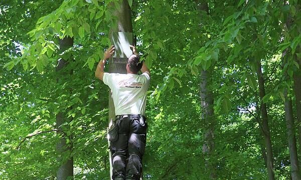 In einer Gemeinschaftsaktion wurden im Wald auf der „Frühlingshöhe“ von angehenden Jägern Nistkästen aufgehängt.