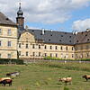 Wildpark Tambach Wildpark Tambach