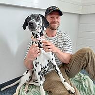 Bürohund