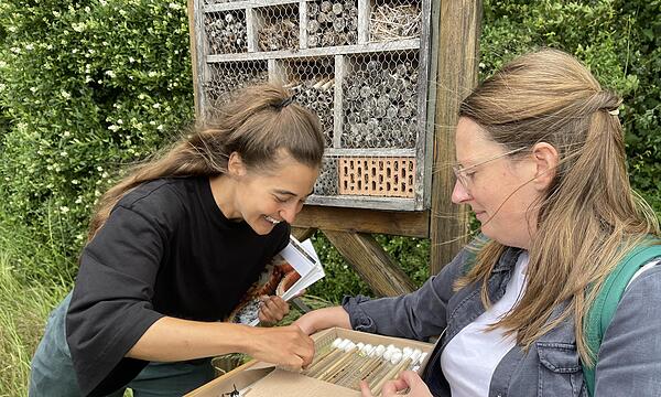 Dr. Maihoff und Dr. Wolz erklären, wie Insekten im Wildbienenhotel leben und auf was beim Bau zu achten ist.