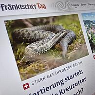 Rückblick 2024