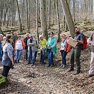 Exkursion im Wald an der Reither Mühle.