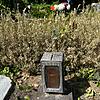 Buchsbaumzünsler am Coburger Friedhof Der Buchsbaumzünsler hat am Coburger Friedhof viele Hecken und Sträucher kaputt gefressen.