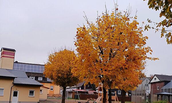 HerbstllaubHerbstimpressionen