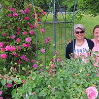 Im Rosenpavillon von Sonja (l.) und Corinna Flieger.