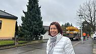 Coburger Weihnachtsbaum