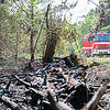 Verkohlte Reste: Der Waldbrand im Tennenloher Forst hat viel Schaden angerichtet.