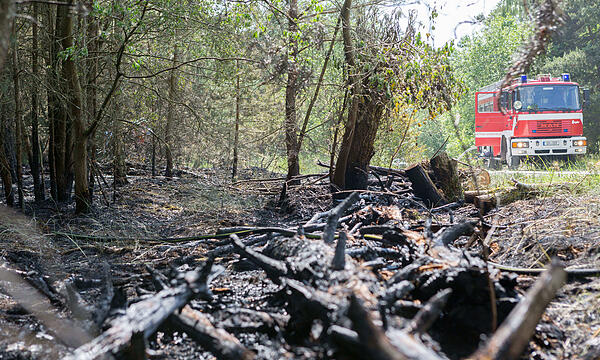 Verkohlte Reste: Der Waldbrand im Tennenloher Forst hat viel Schaden angerichtet.