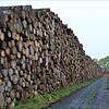 Bevor private Waldbesitzer oder Forstbetriebe ihr Holz aus dem Frankenwald verkaufen dürfen, müssen sie zukünftig neue Regeln beachten. Bevor private Waldbesitzer oder Forstbetriebe ihr Holz aus dem Frankenwald verkaufen dürfen, müssen sie zukünftig neue Regeln beachten.