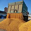 Ukrainische Wirtschaft