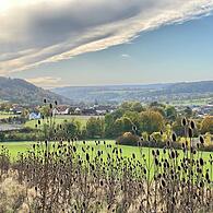 AussichtHerbstimpressionen