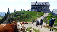 Rotwandhaus
