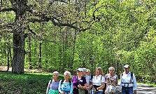 Die Senioren und Seniorinnen auf der ersten Wanderung.