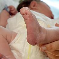 In Bayern wird die Mehrzahl  der Geburten in Kliniken von freiberuflichen Beleghebammen begleitet.