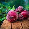 Rote Beete - Jupps Gartentipps Rote Beete - Jupps Gartentipps