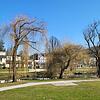 Der Frühling in Bad Kissingen kündigt sich an.