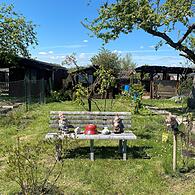 schrebergarten