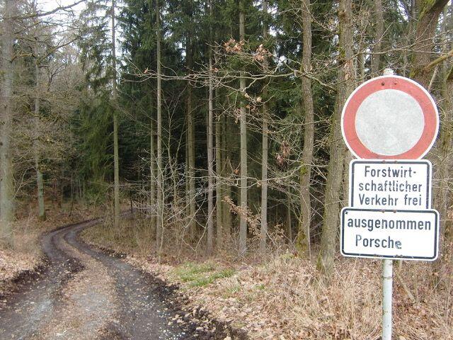 Porsche im Wald
