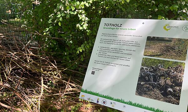 Zeigen, wie leicht Naturschutz sein kann: Contakt-Garten in Coburg eröffnet
