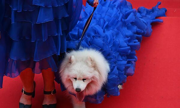 78. Internationale Filmfestspiele Cannes - Eröffnung