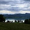 Forggensee