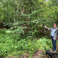 trekking