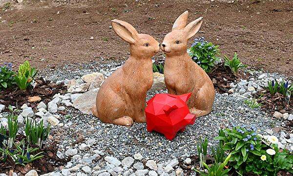 Das rote Spendenschwein zu Besuch beim Kinder- und Jugendhospiz: 10.000 Euro sind bei der Adventsaktion von „Franken helfen Franken“ für das Sternenzelt zusammengekommen.