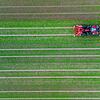 Landwirtschaft Landwirtschaft