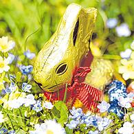 Wo sind die anderen Tiere hin? Der Osterhase hat Henne, Fuchs und Storch als Gabenbringer übertrumpft.  &#160;&#160;