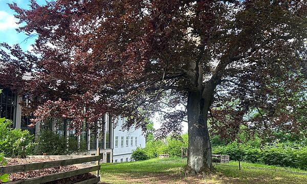 Der neue Contakt-Garten in Coburg soll Lust auf Umwelt- und Naturschutz machen.