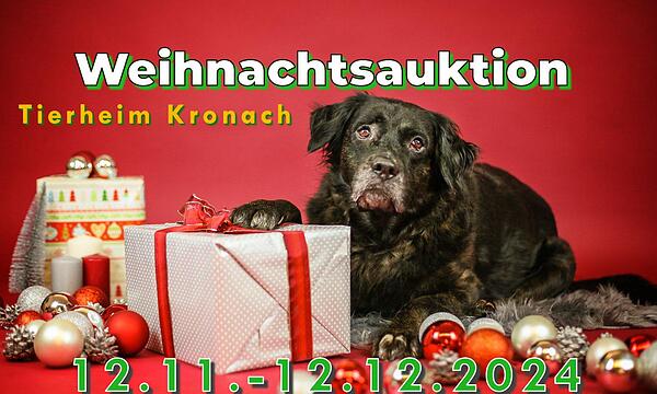 Weihnachtsauktion